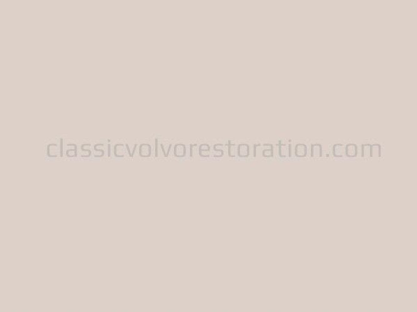 Farbe 48 Golden Beige, Sprühdose