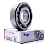 Kugellager Abtriebswelle