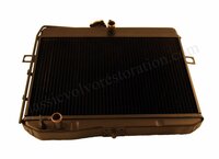 Radiator Amazon B16