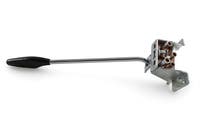 Indicator stalk Amazon