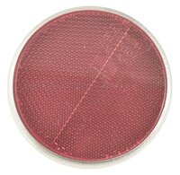 Reflektor für Heckklappe Duett/1800