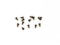 Kit de montage bandeau