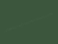 Lack 110 Zypressengrün, Spray