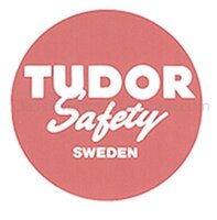 Aufkleber Batterie "Tudor"