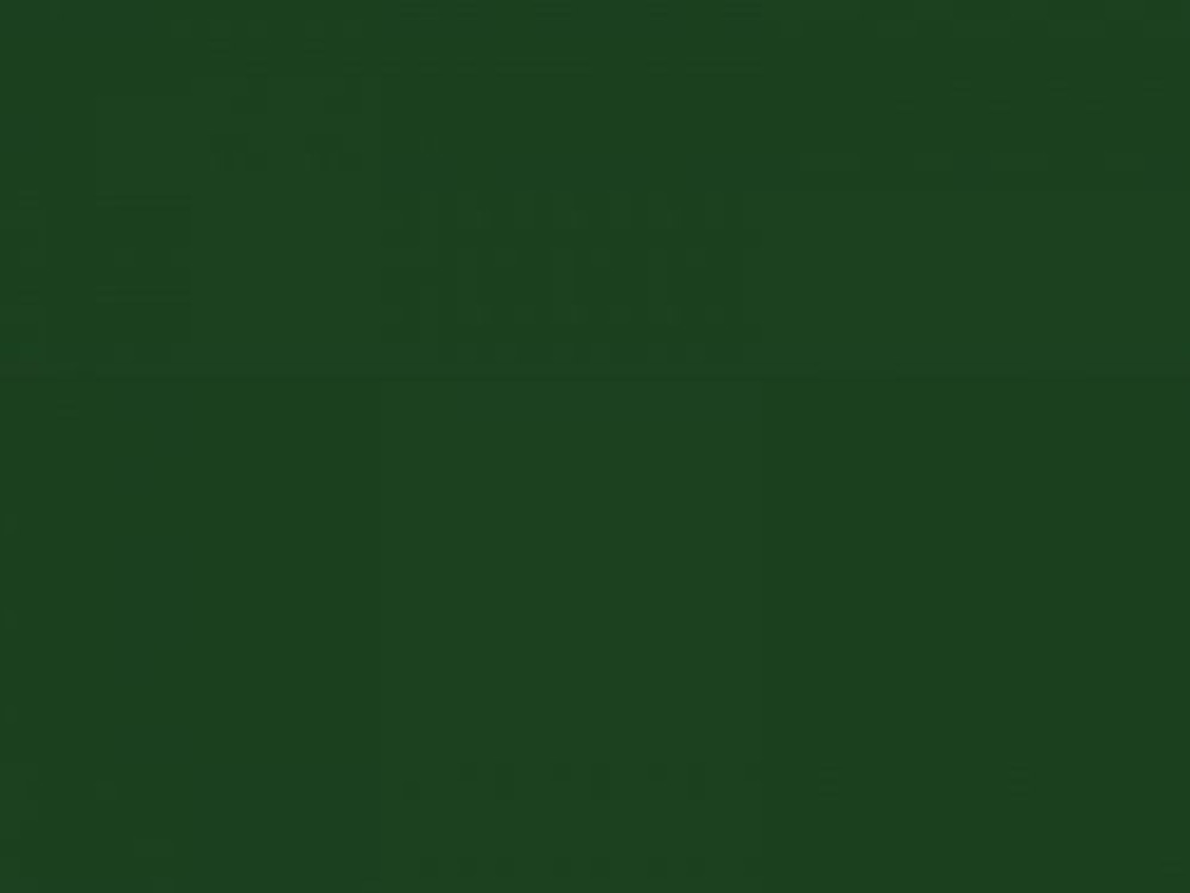 Lak 142 mørkegrøn, spray